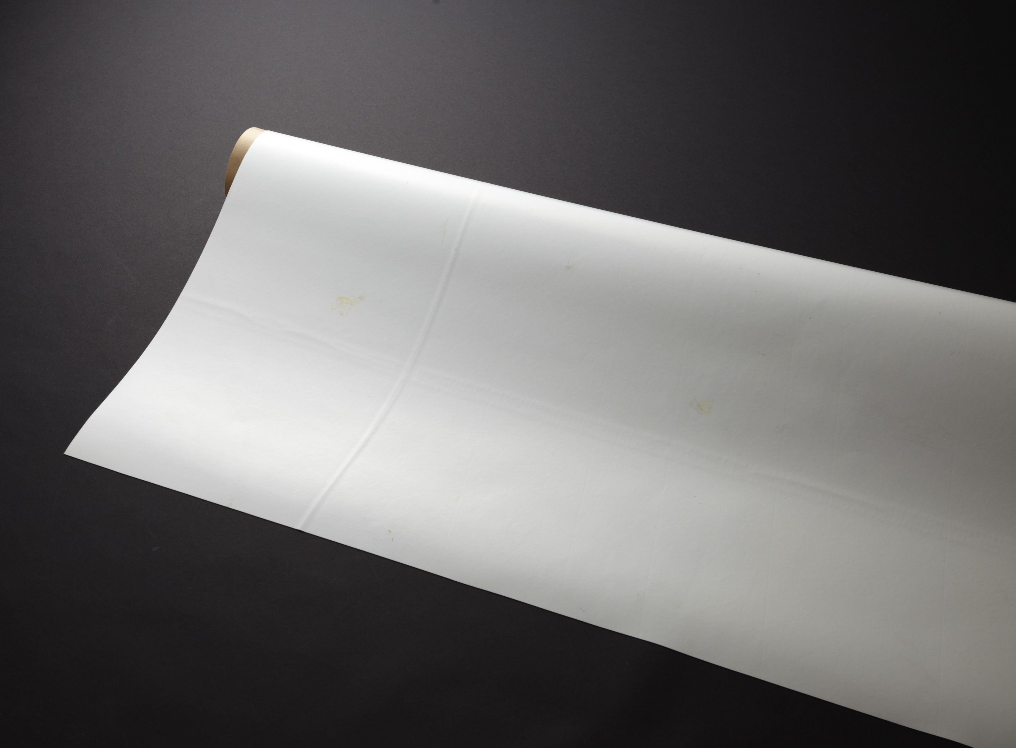 製品外観(色：ホワイト⋆5)