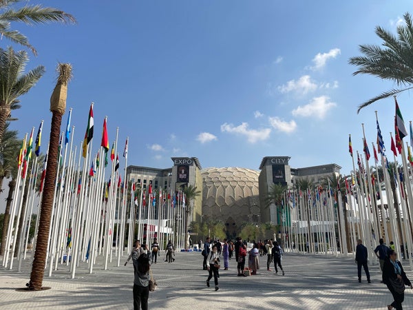 COP28会場