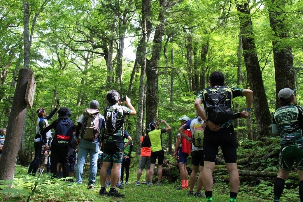 ▼ヒーリングトレイル