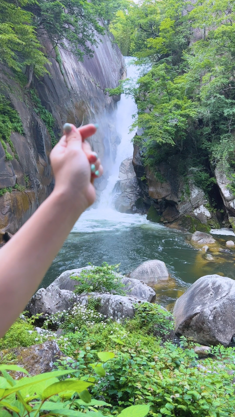 動画①（7月19日18時投稿）