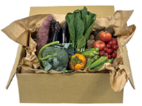 ▲お届けする野菜セットの一例  ※野菜の種類はご指定できません ※お届けする商品はイメージと異なる場合がございます。