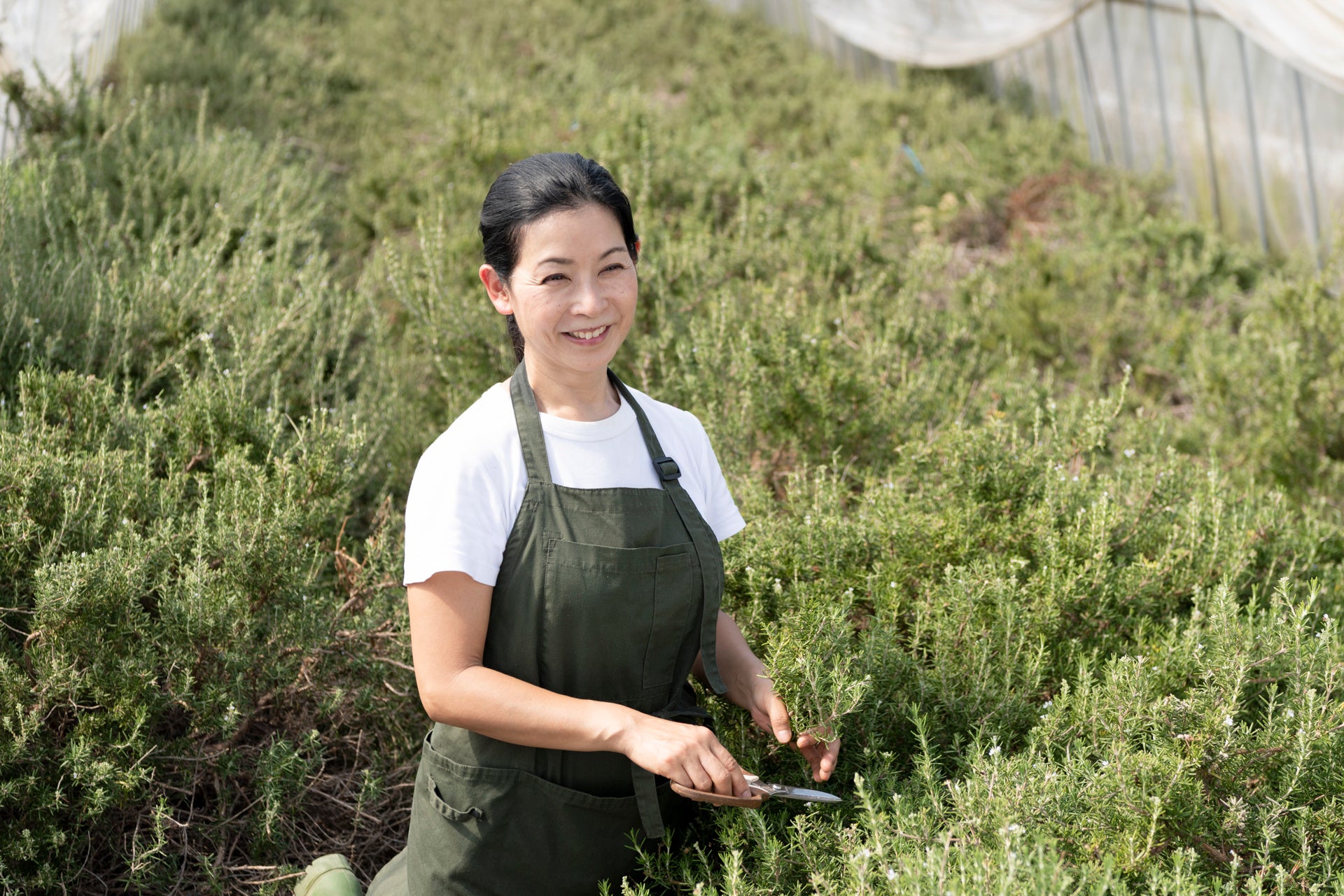 著者:ハーブコンシェルジュ小早川愛