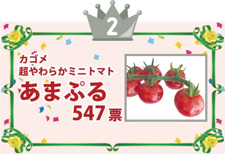 最も人気のある品種はどれ 1位のトマトに投票した方の中から抽選でコメリポイントをプレゼント 第2回コメリトマト 人気投票 を開催 株式会社コメリのプレスリリース