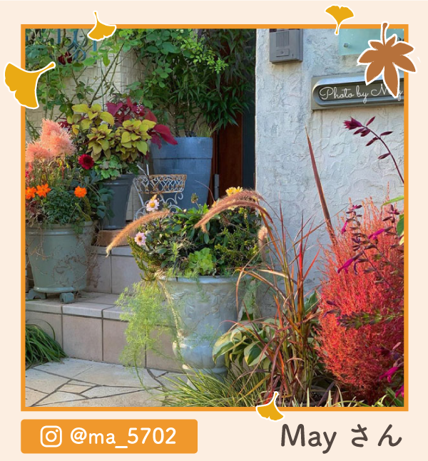 コメリ創業70周年史 コメリ創業70周年記念企画 日頃のご愛顧に感謝の気持ちを込めて