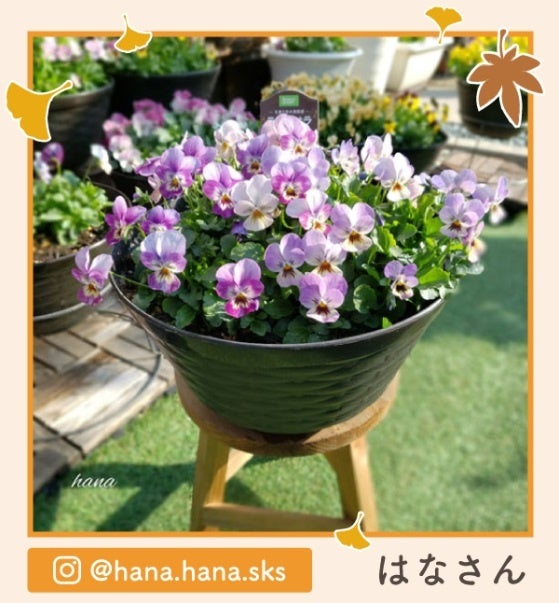 コメリ創業70周年史 コメリ創業70周年史 | 社史制作・年史編纂のエトレ周年事業室