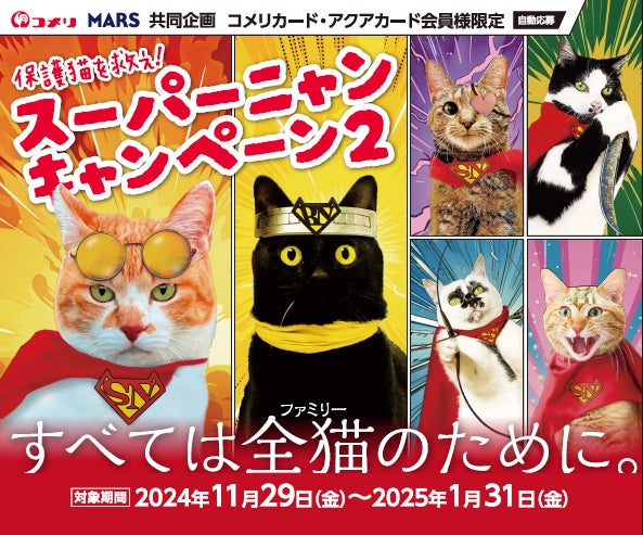 すべては全猫(ファミリー)のためにお買い上げいただいた金額の一部を すべては全猫(ファミリー)のためにお買い上げいただいた金額の一部を