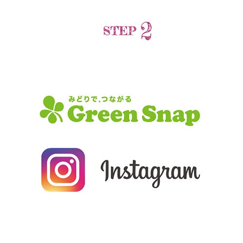 PW公式アカウントをフォロー