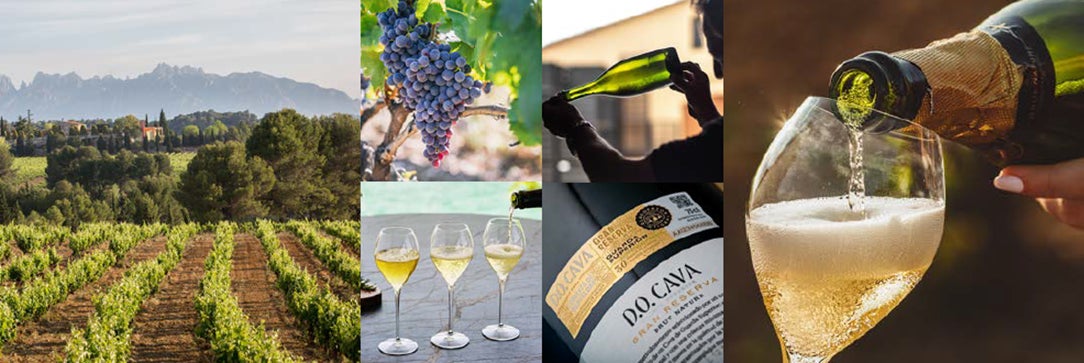 東京・代官山にて、日本初のカバ原産地呼称統制委員会主催「CAVA 東京・代官山にて、日本初のカバ原産地呼称統制委員会主催「CAVA