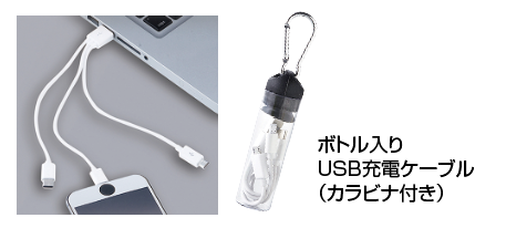 ワールドデンタルショー_メディコムジャパン_企業セミナー_プレゼント