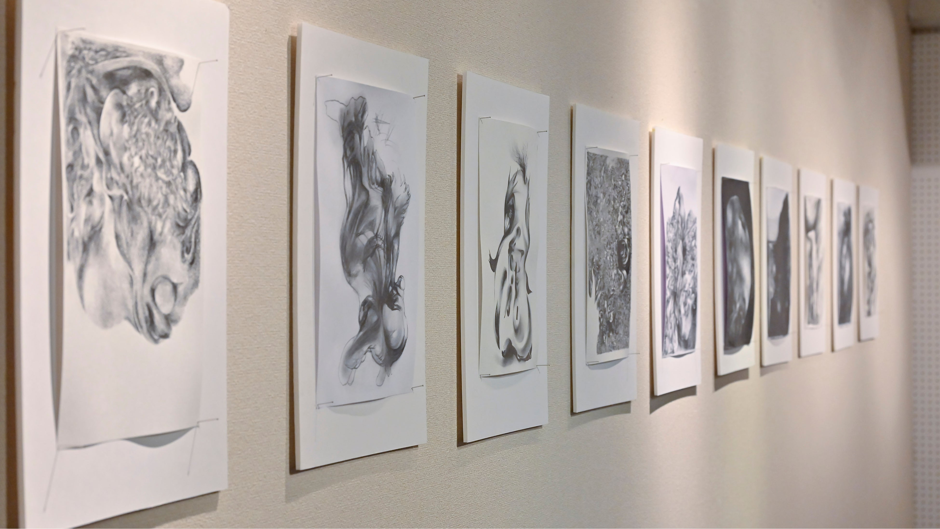  カラス アパラタス ドローイング展示の様子