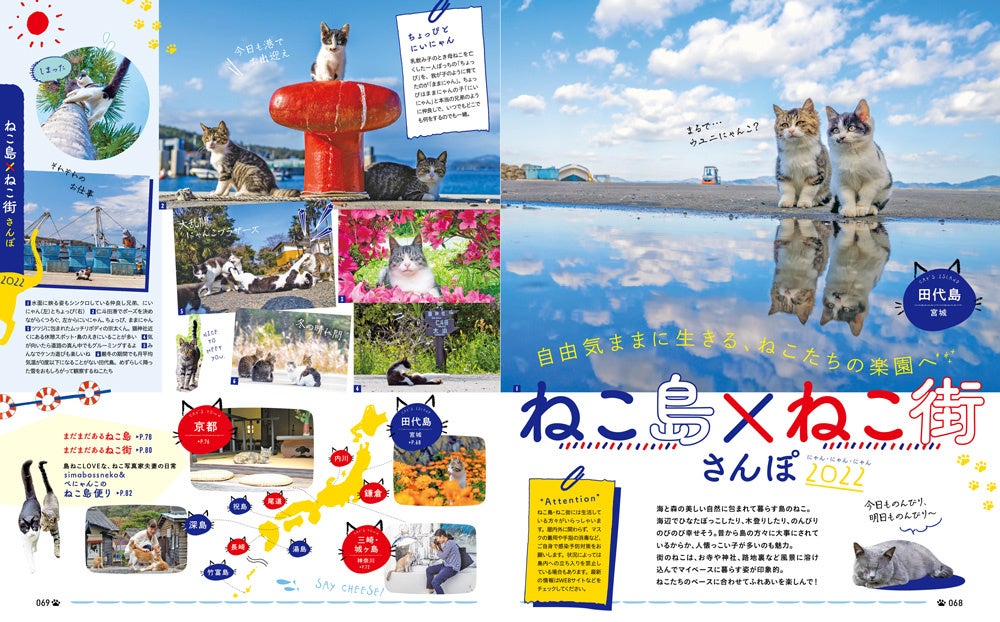 ＜ねこ島×ねこ街さんぽ2022＞