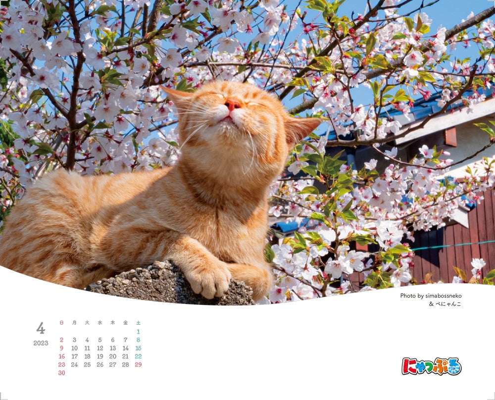 【ねこページ】 2023年のテーマは「とろける猫」。みんなで作ったかわいい『にゃっぷる