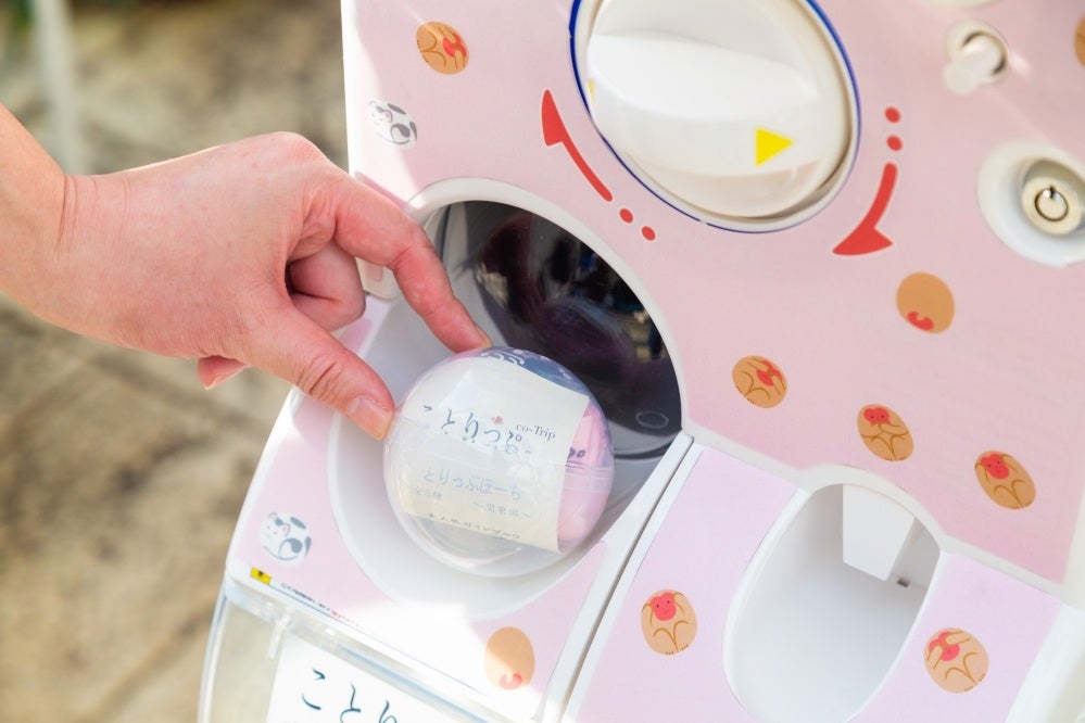 ＜カプセルトイのイメージ＞