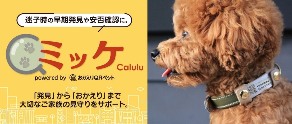 <メインビジュアル>