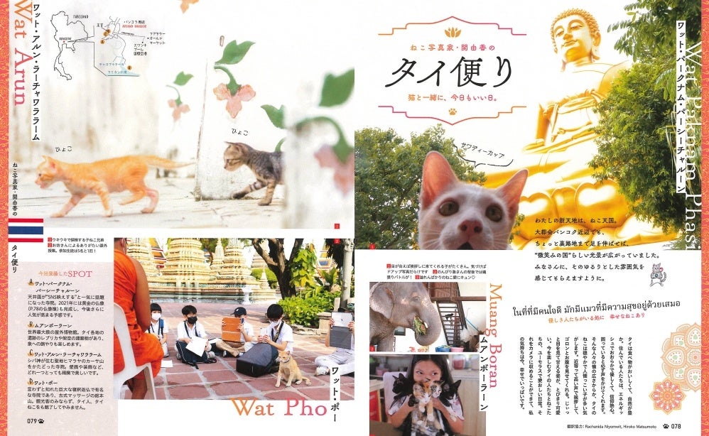 ＜「猫写真家・関 由香のタイ便り」ページ例＞