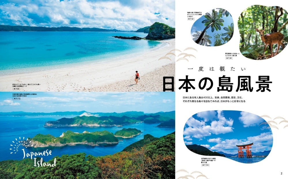 <「巻頭グラビア」ページ例>