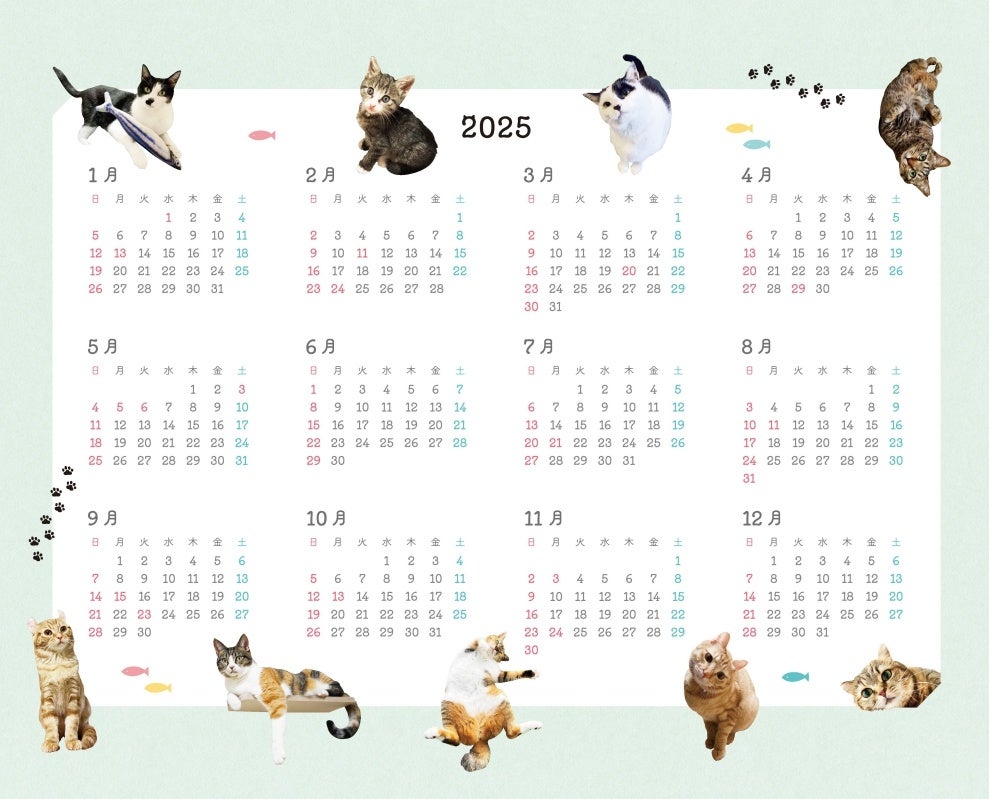 ＜みなさんから寄せられた ねこ写真が彩る誌面例＞