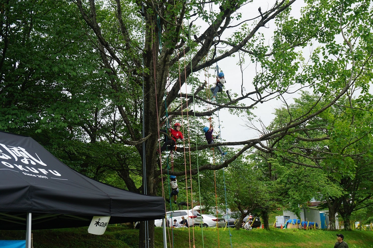 げんき森林モリフェスティバルの様子