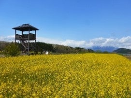御所湖広域公園町場地区園地