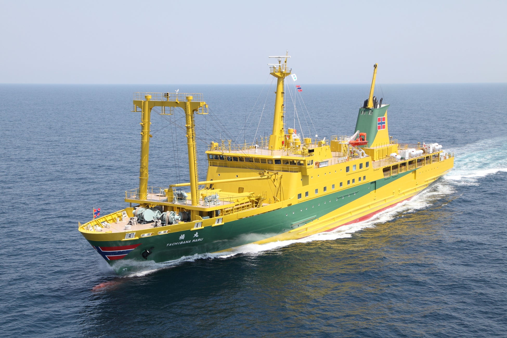 さるびあ丸 に続き 貨客船 橘丸 にも ハート マークが描かれました 東海汽船株式会社のプレスリリース さるびあ丸 に続き 貨客船 橘丸 にも ハート マークが描かれました 東海汽船株式会社のプレスリリース