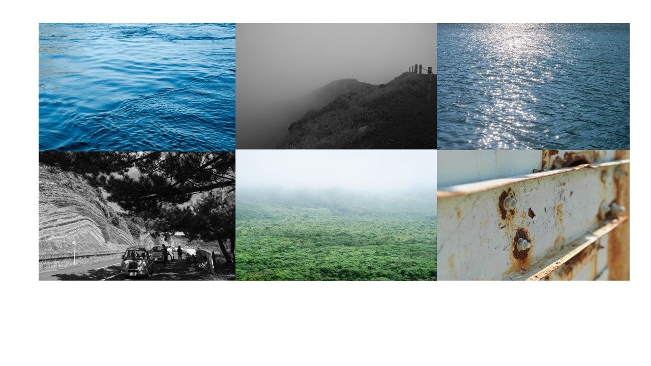 部屋展示予定の写真