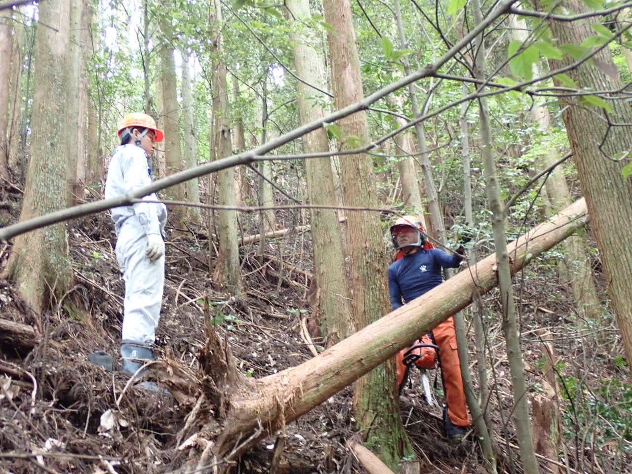 昨年度のインターンシップの様子