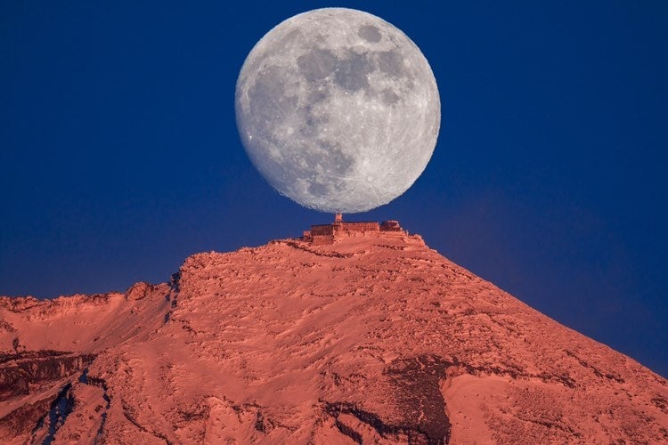 紅富士の台座の真珠