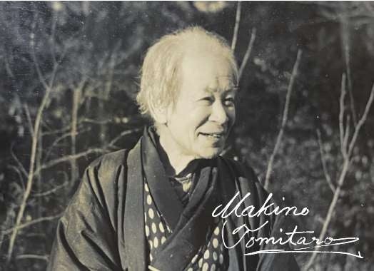 「晩年の牧野博士 昭和19年 撮影：大谷　茂」