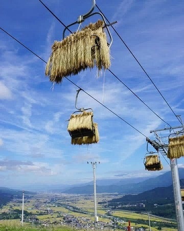 「天空米」は本当に空を舞っていた