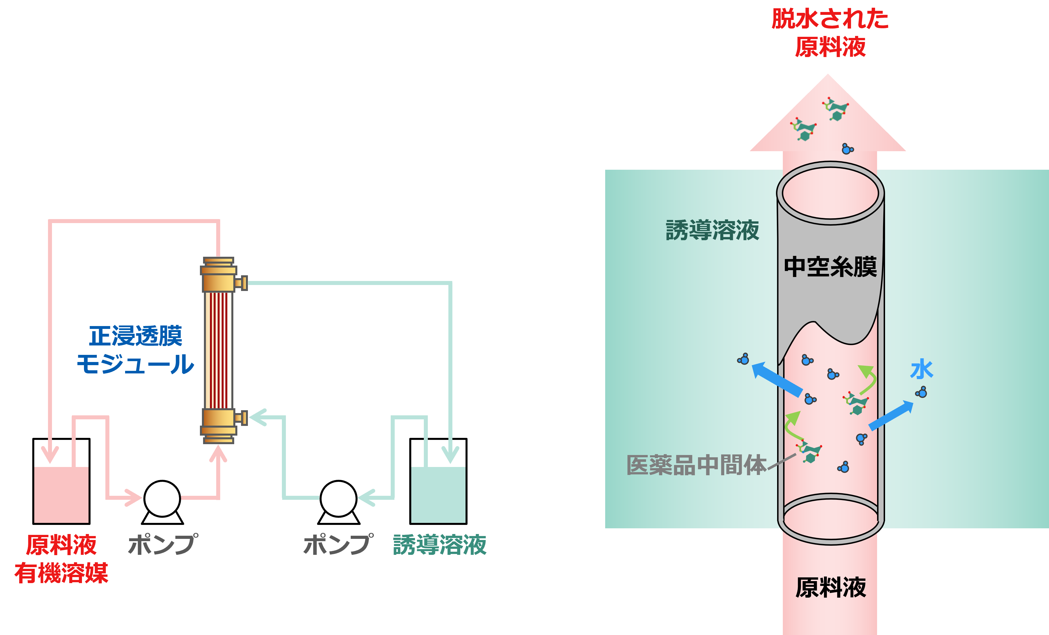 システム概要図および脱水原理