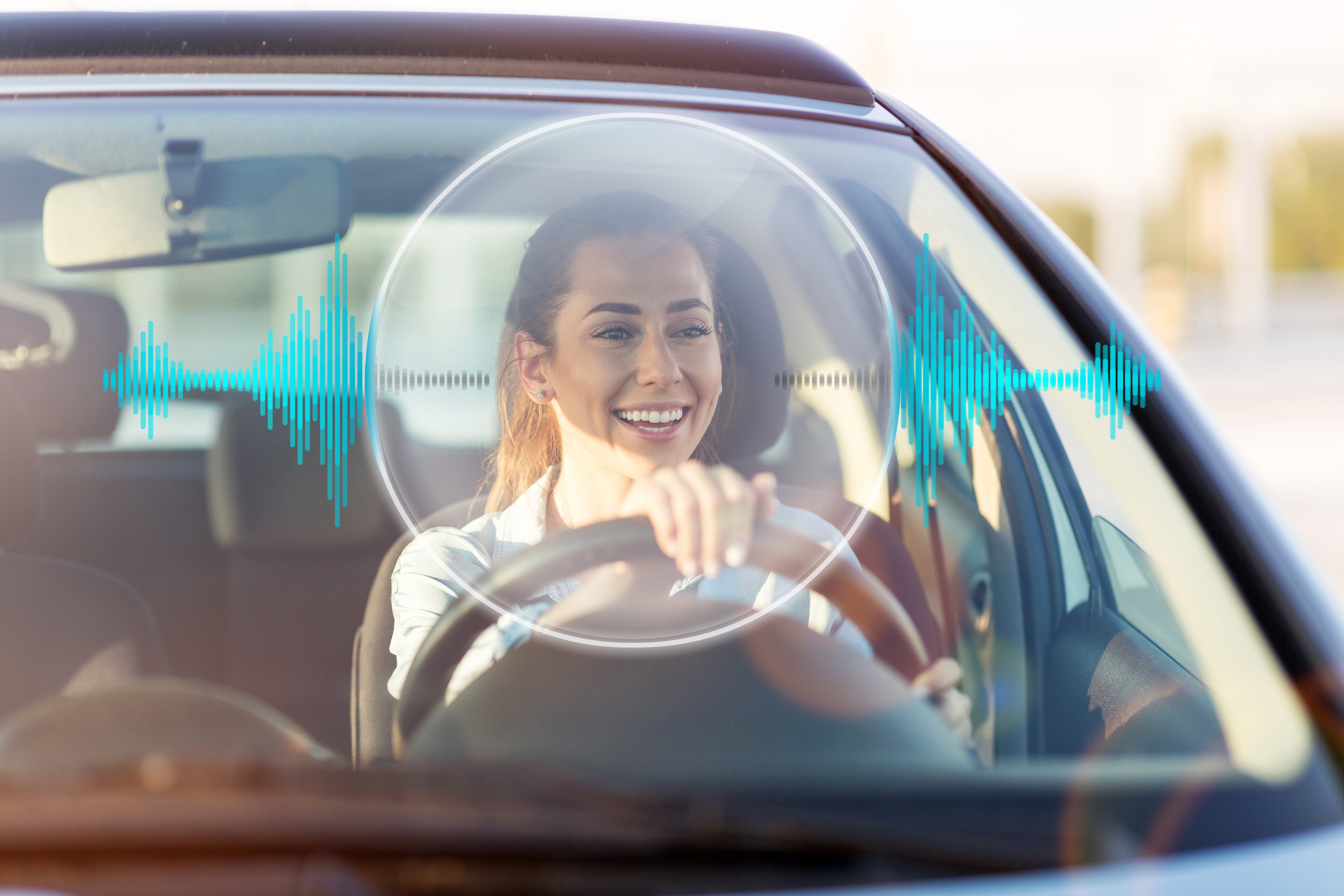 VELVET SOUND for Carsのイメージ