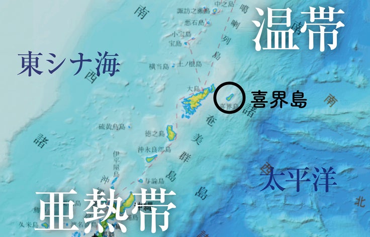 喜界島の 今 を記録したサンゴ図鑑完成 Npo法人喜界島サンゴ礁科学研究所のプレスリリース 喜界島の 今 を記録したサンゴ図鑑完成 Npo法人喜界島サンゴ礁科学研究所のプレスリリース