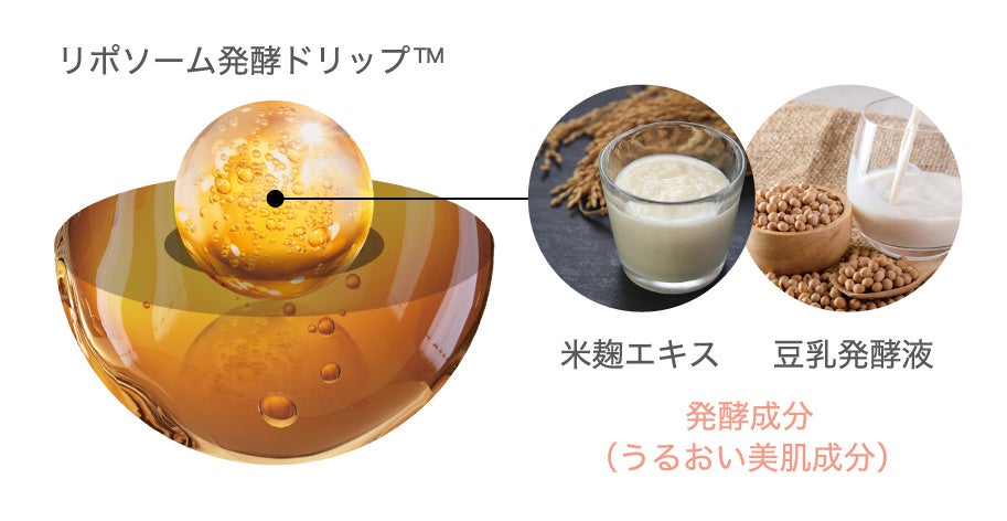 ※イメージ