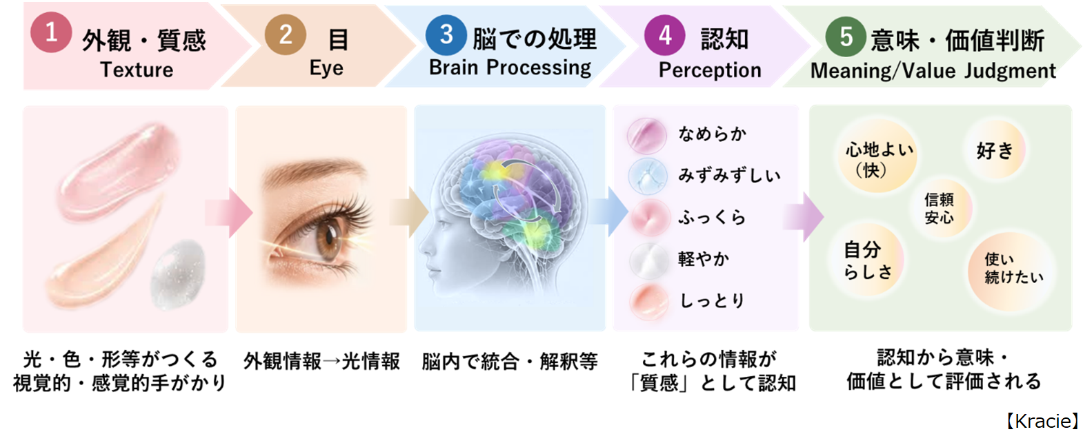 触れる前から始まる「質感」を処方起点で設計する ～人が感じる質感から処方へ～ 視覚的な質感認知からの新たな製剤設計アプローチ