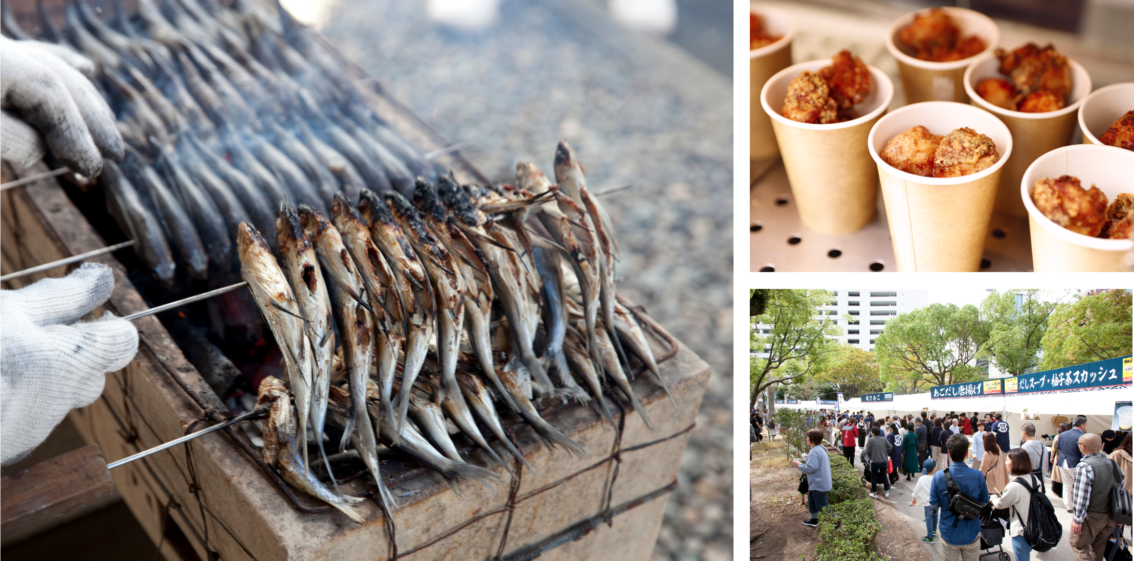 2019年に天神中央公園で開催された「第3回 あご祭り」の様子