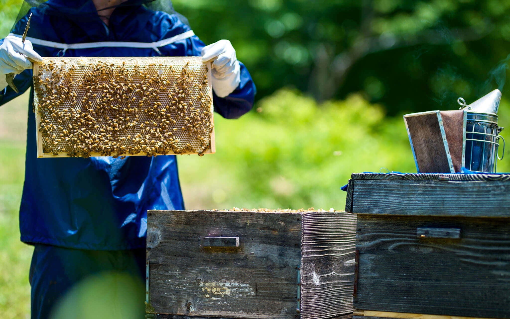 国産へのこだわり