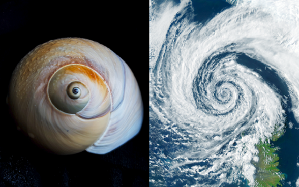 テーマ　イメージ