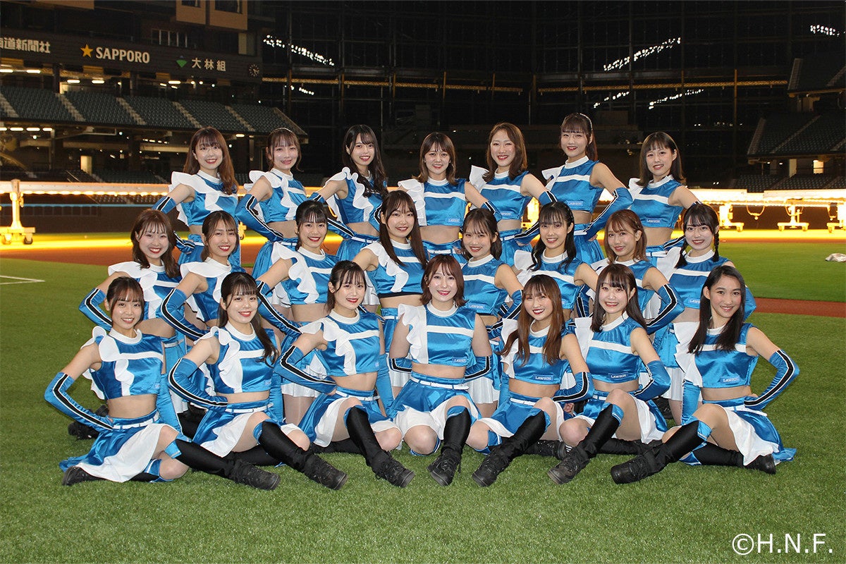 ファイターズガール