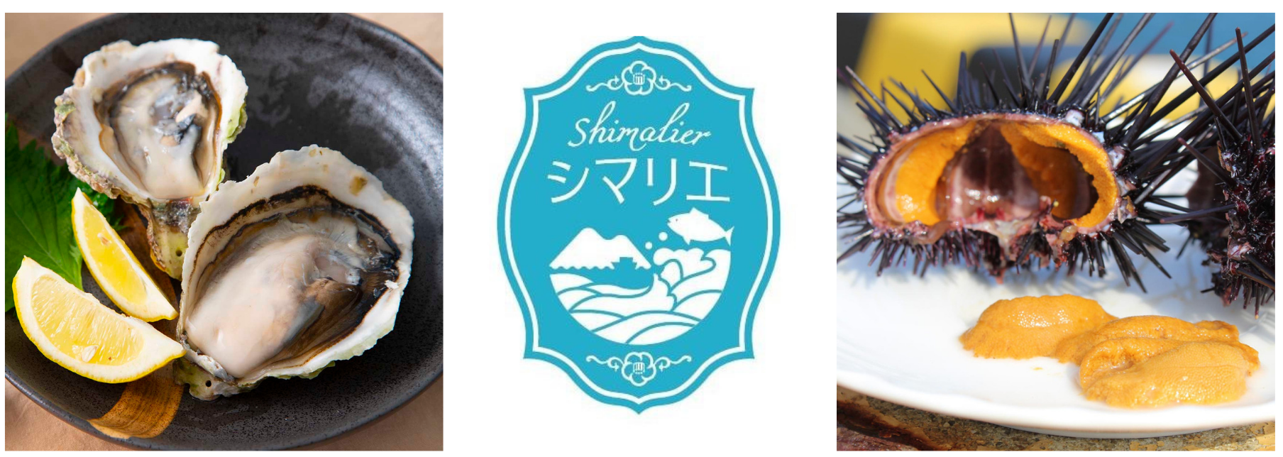 初夏の味覚「岩牡蠣」と「生うに」