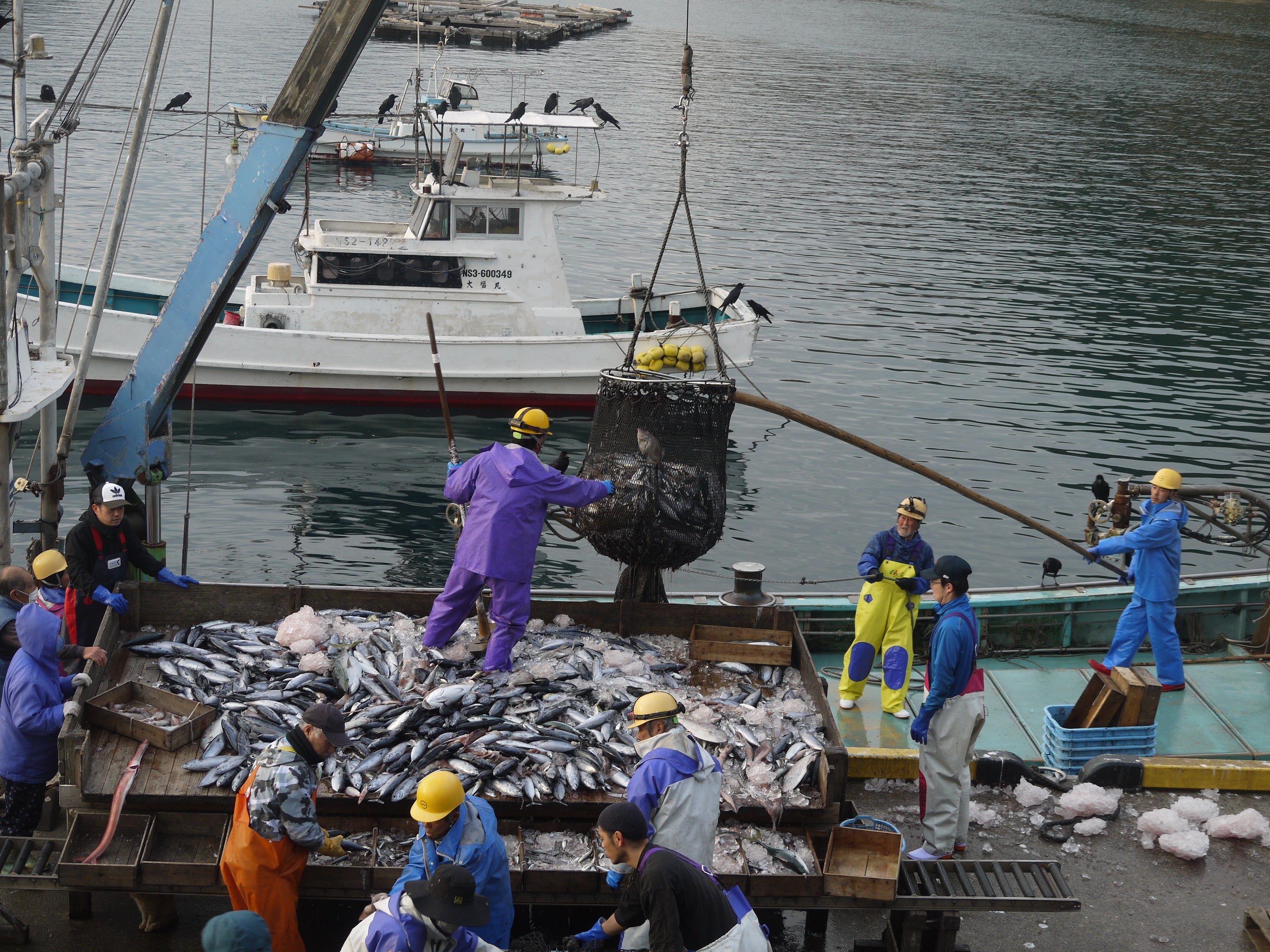 日本有数の好漁場として水産資源に非常に恵まれている