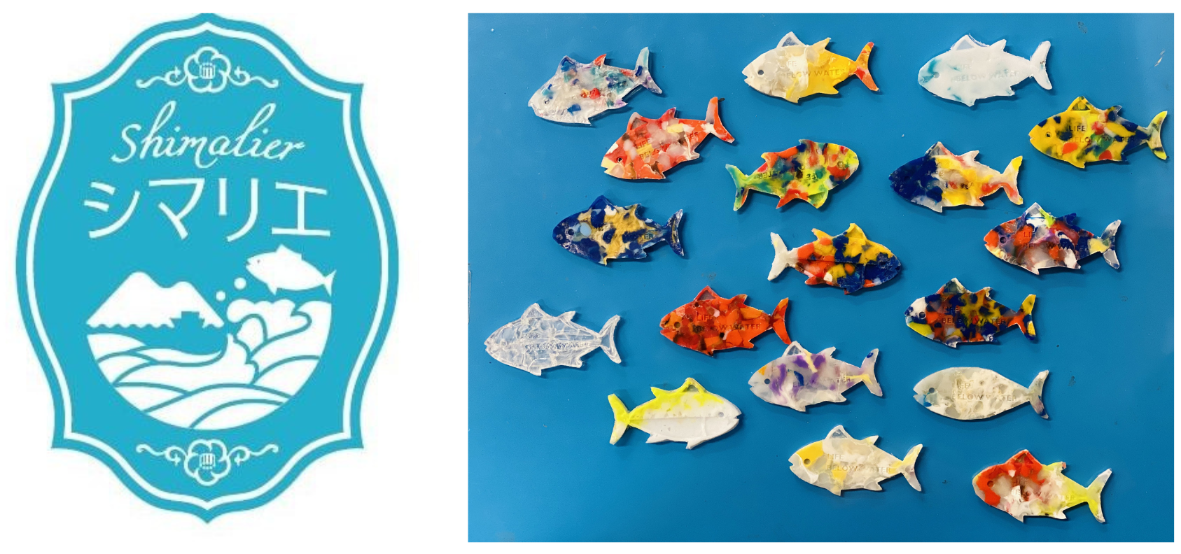 特産品ECサイト「シマリエ」SDGsキャンペーン