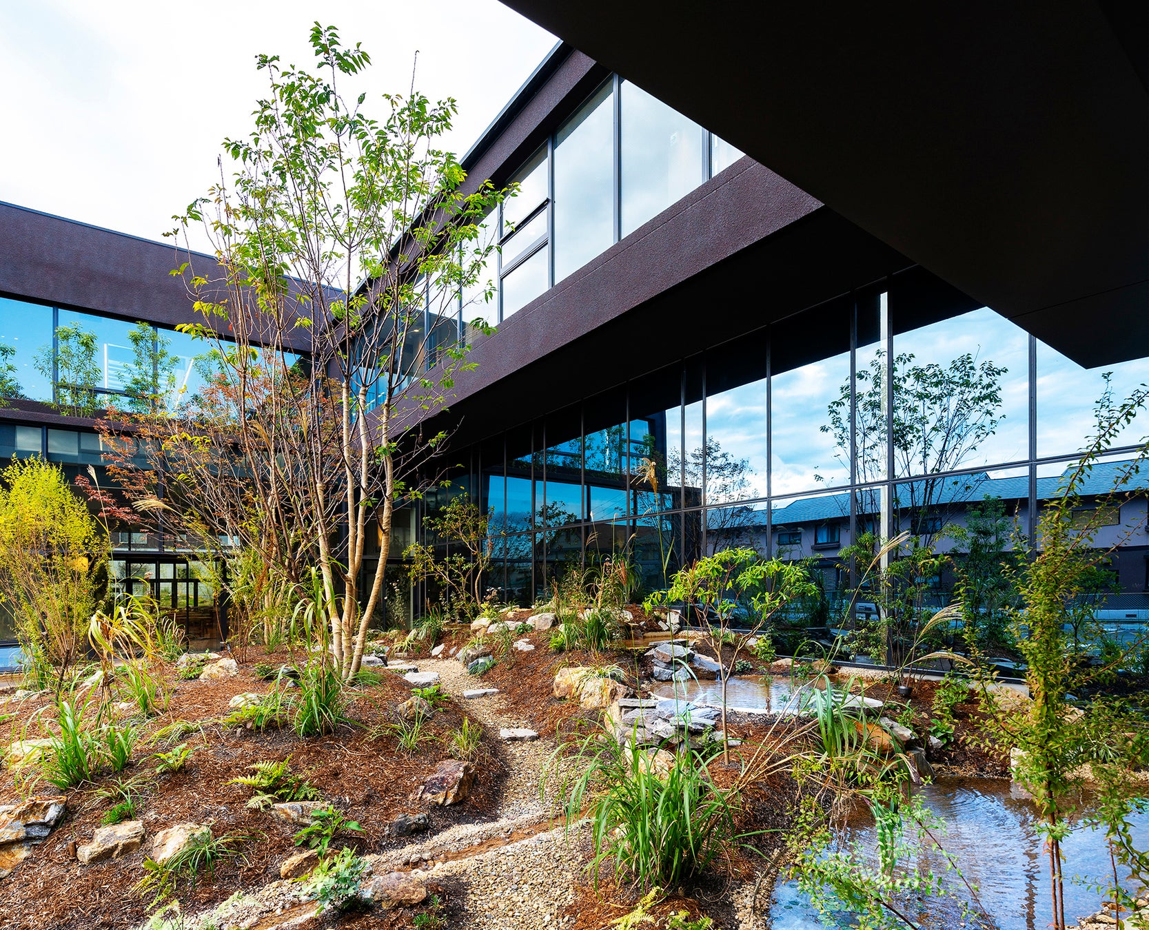 緑と水が広がり、地下水ピットがある 「中庭」