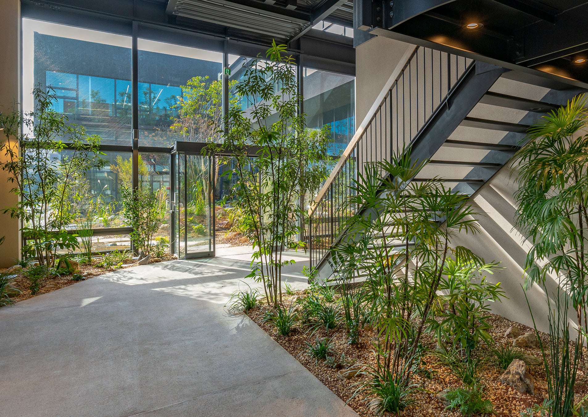 中庭につながる緑のある 「エントランス」