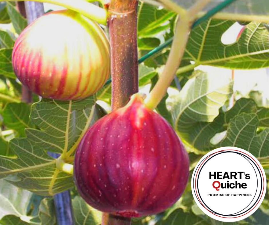 完熟状態で収穫