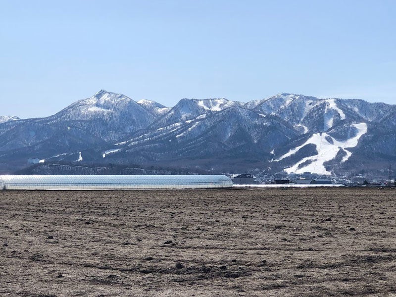2022年4月8日の富良野
