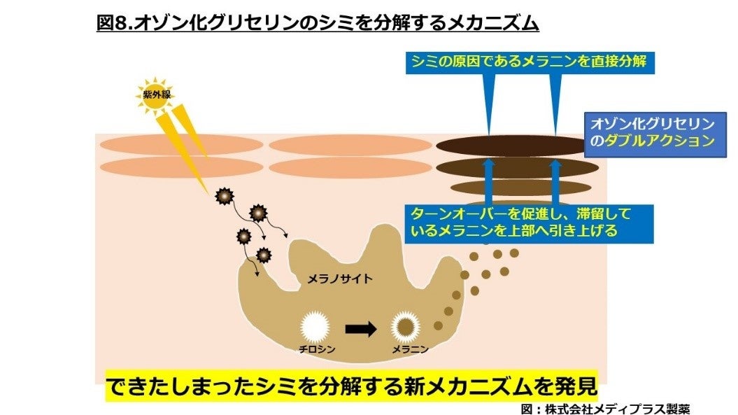 オゾン化グリセリンの美白メカニズム
