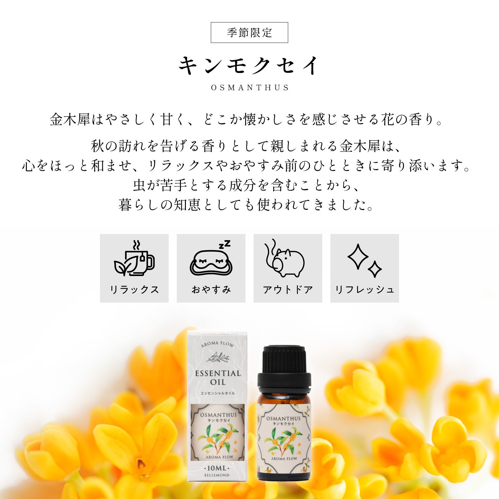 天然100％のアロマオイル、Amazonにて販売開始。リーズナブルな価格で