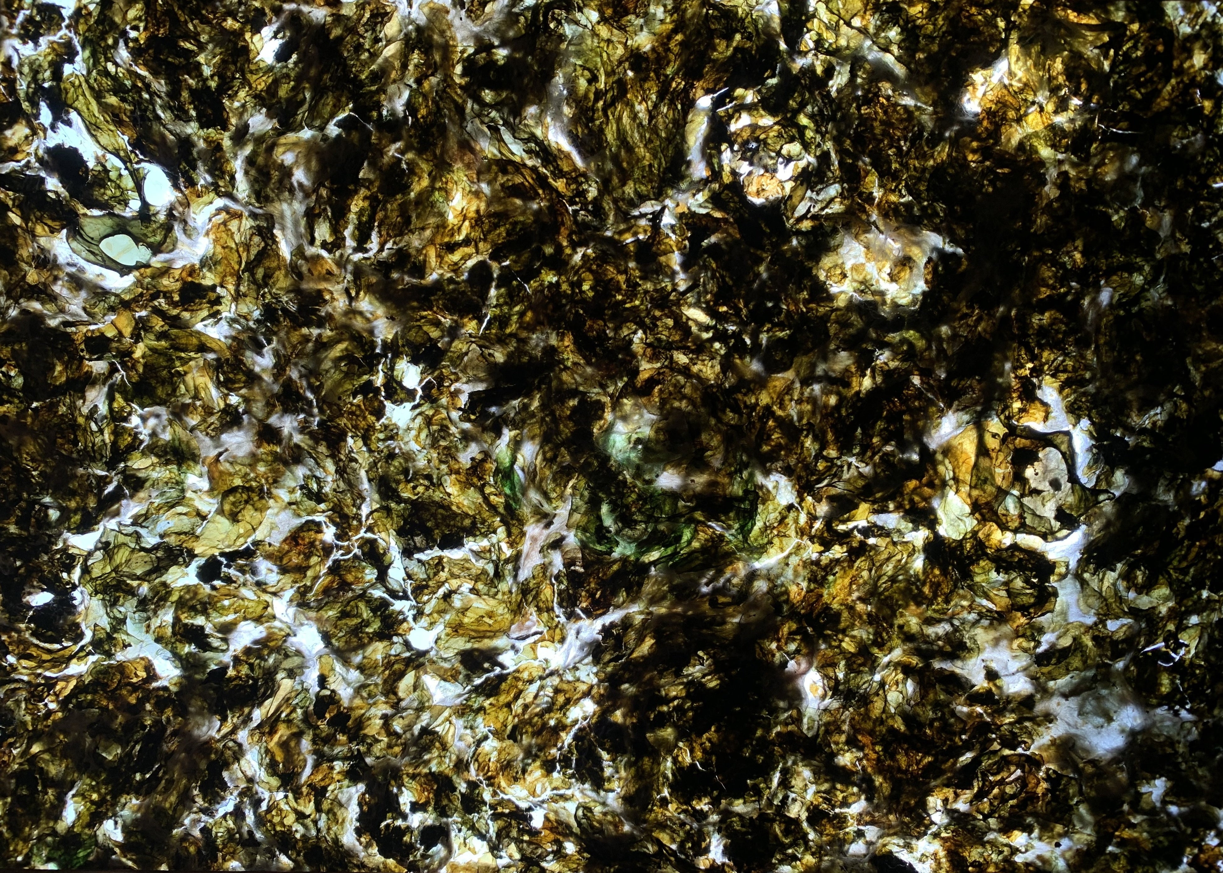 イシクラゲを混ぜた和紙（「呼吸する彫刻 – 遊郭」井原宏蕗・作）