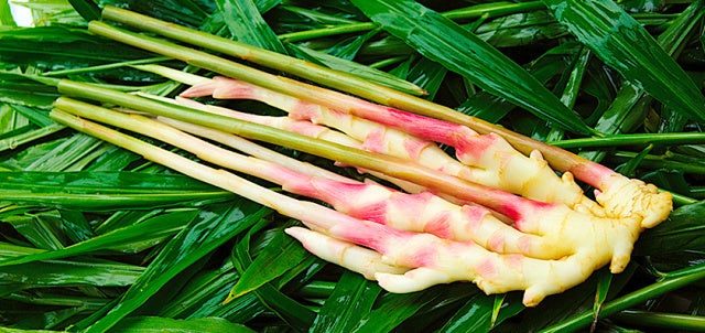 台湾産の本島姜(ペンタオジャン)