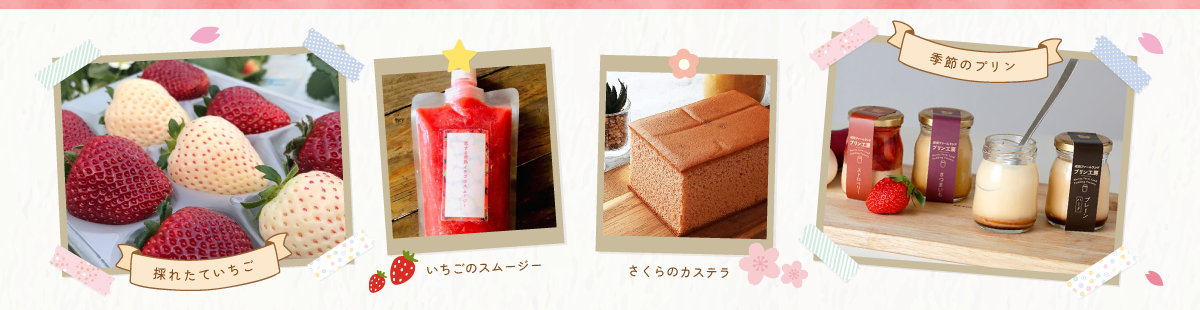 ありがとねっと商品一例